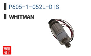 P605-1-C52L-DIS ͼƬ